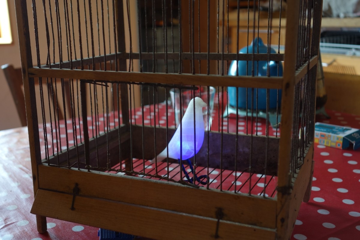 Eames Bird, éclairé dans sa cage 4