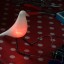 Hommage à Eames, un oiseau lumineux imprimé en 3D